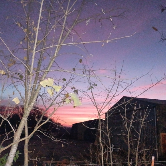 Meet your Posher, Dustin - Picture 3 of 3